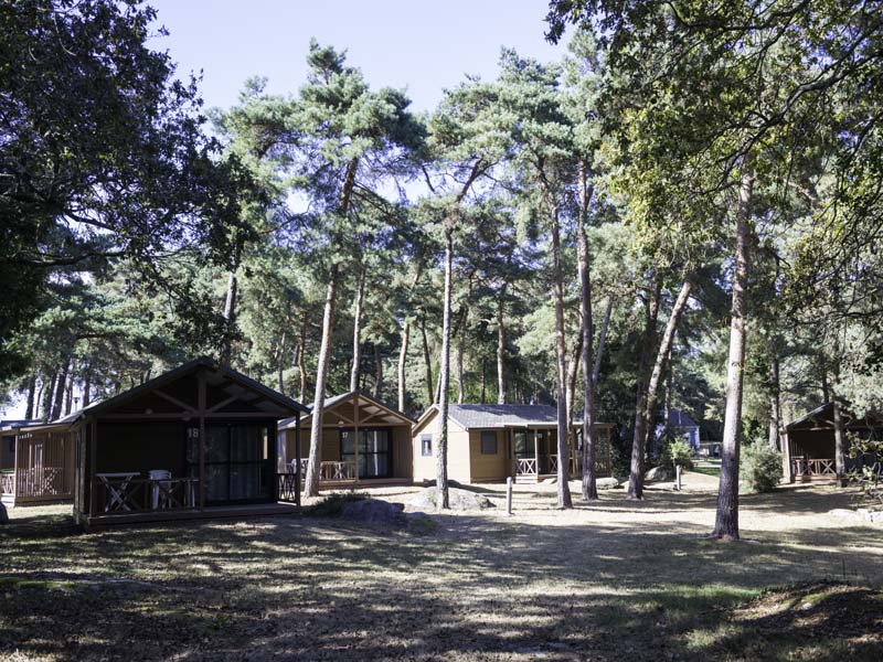 Campéole Domaine de la Pinède_29910 TREGUNC_8